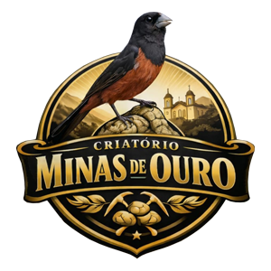 logo.png (120 KB)